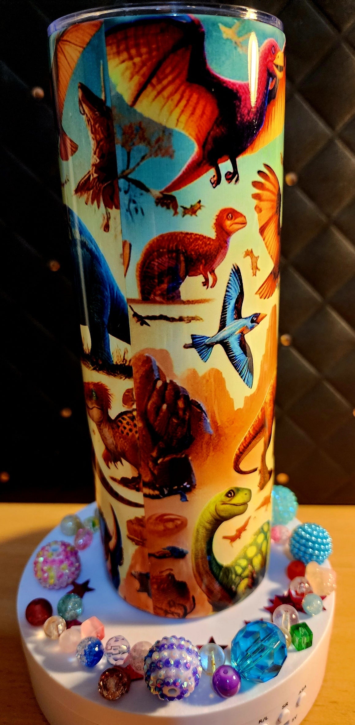 20oz TUMB;ER - Dinosaurs - (stainless steel)