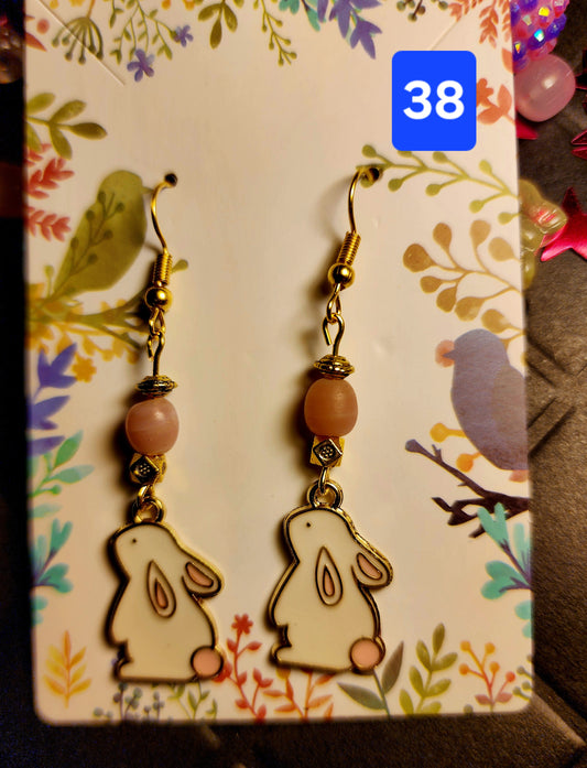 Earrings #38