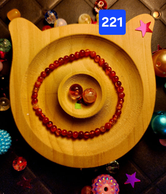 Bracelet #221